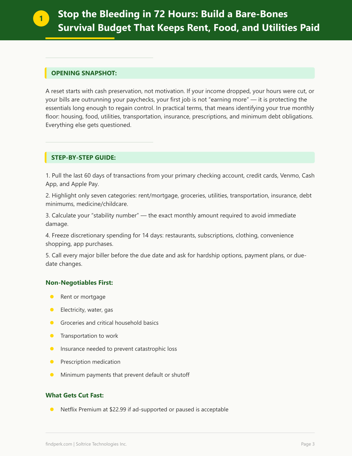 30-Day Income & Stability Reset