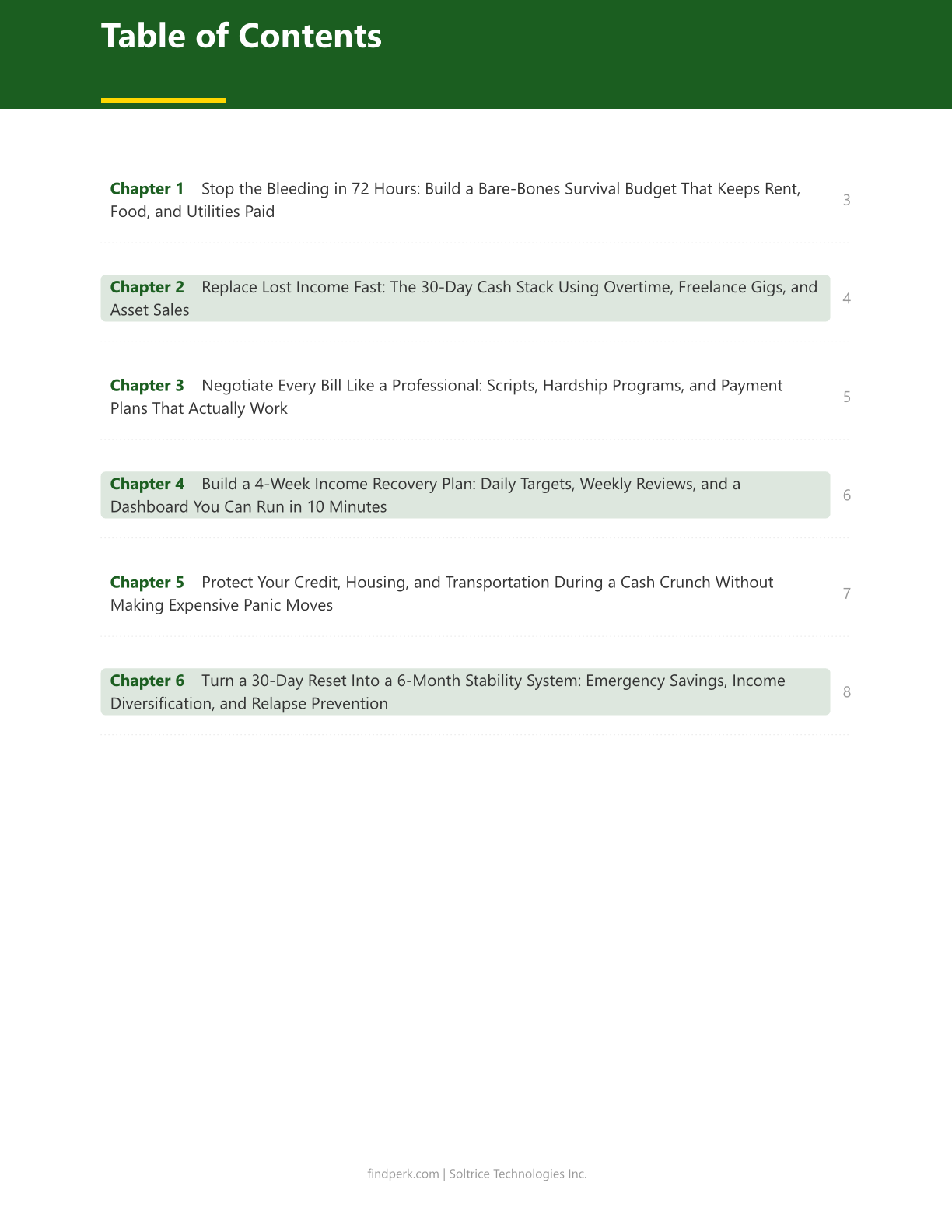30-Day Income & Stability Reset