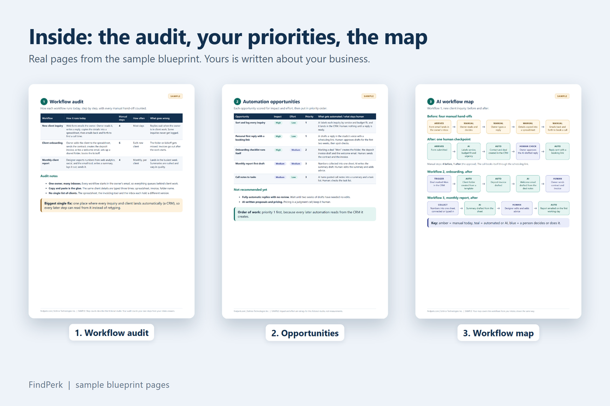 Sample blueprint pages: workflow audit, opportunities, workflow map