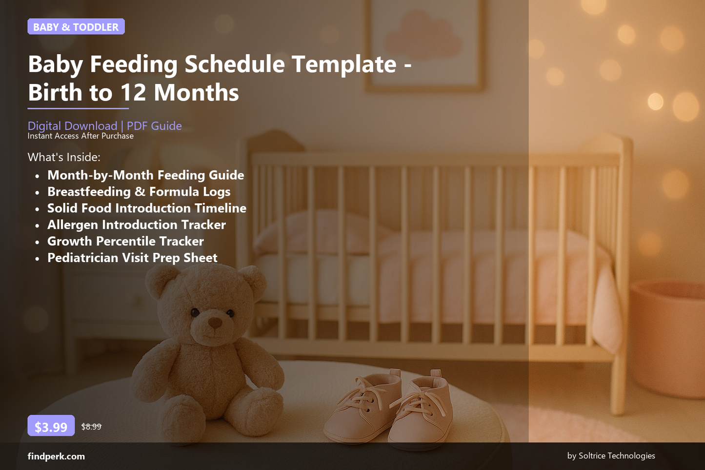 Baby Feeding Schedule Template - Birth to 12 Months