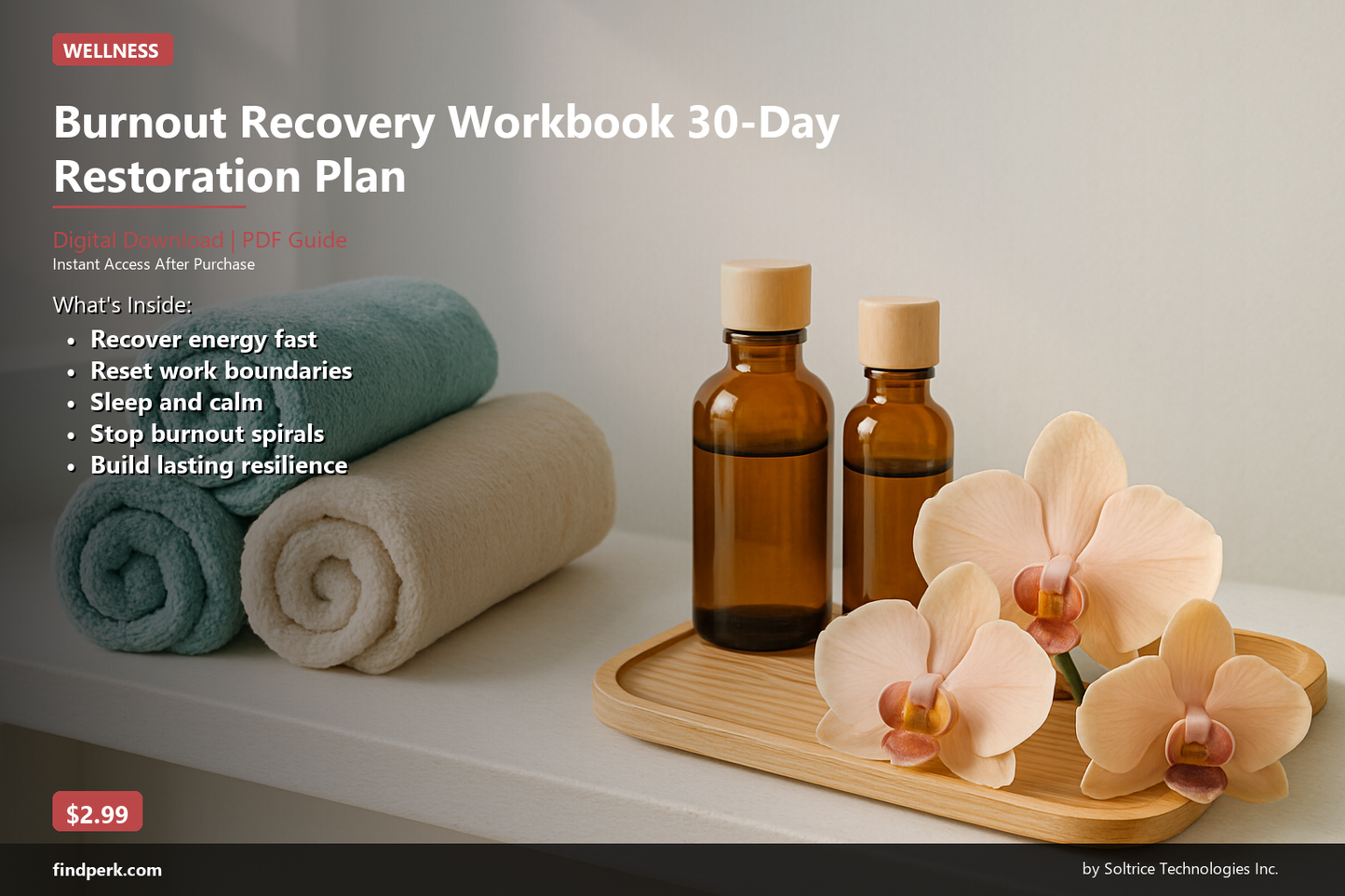 Burnout Recovery Workbook 30-Day Restoration Plan
