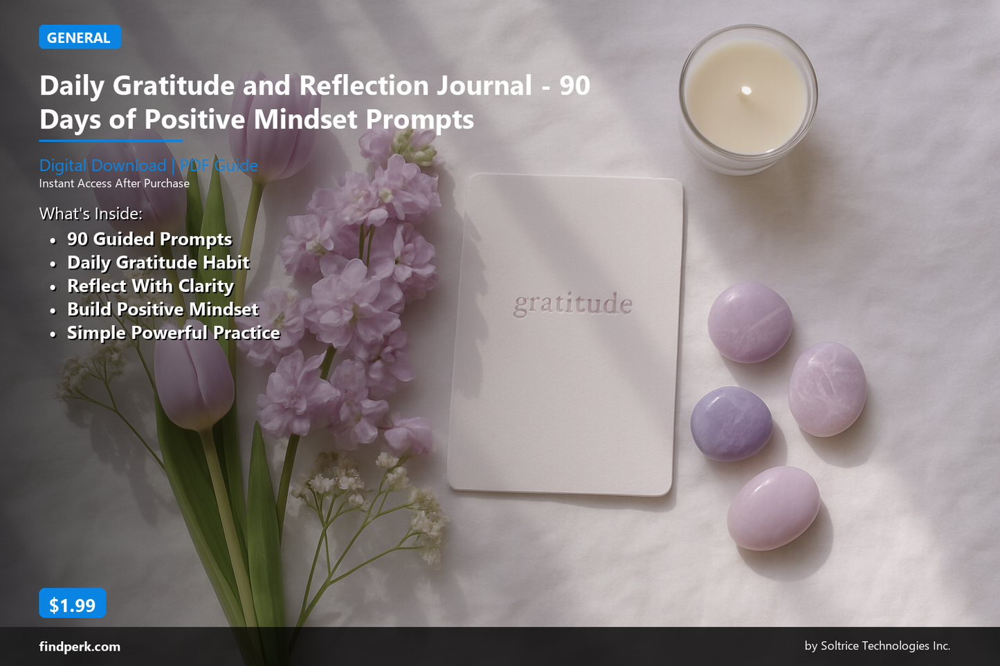 Daily Gratitude and Reflection Journal - 90 Days of Positive Mindset Prompts