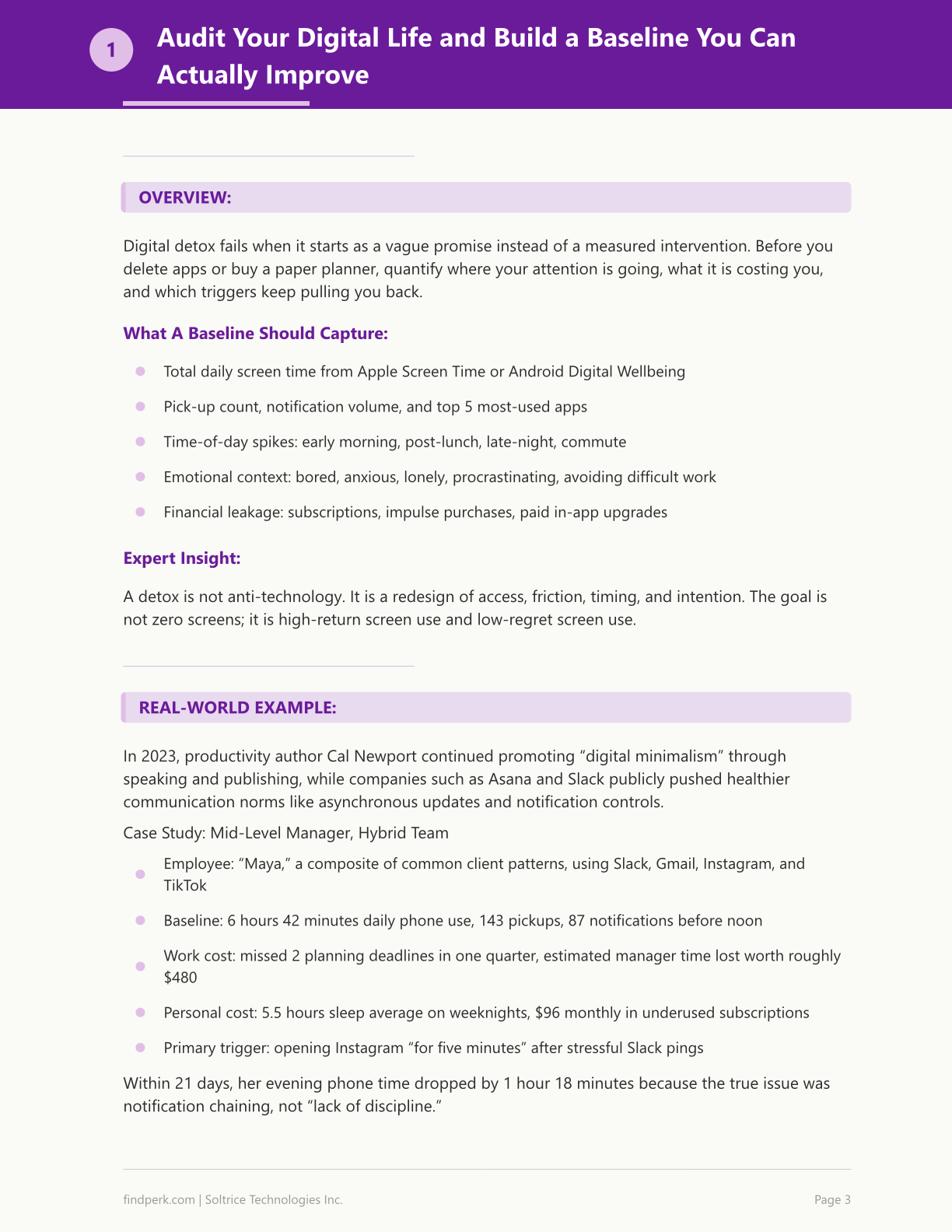 Digital Detox Challenge — Self-Care Guide PDF