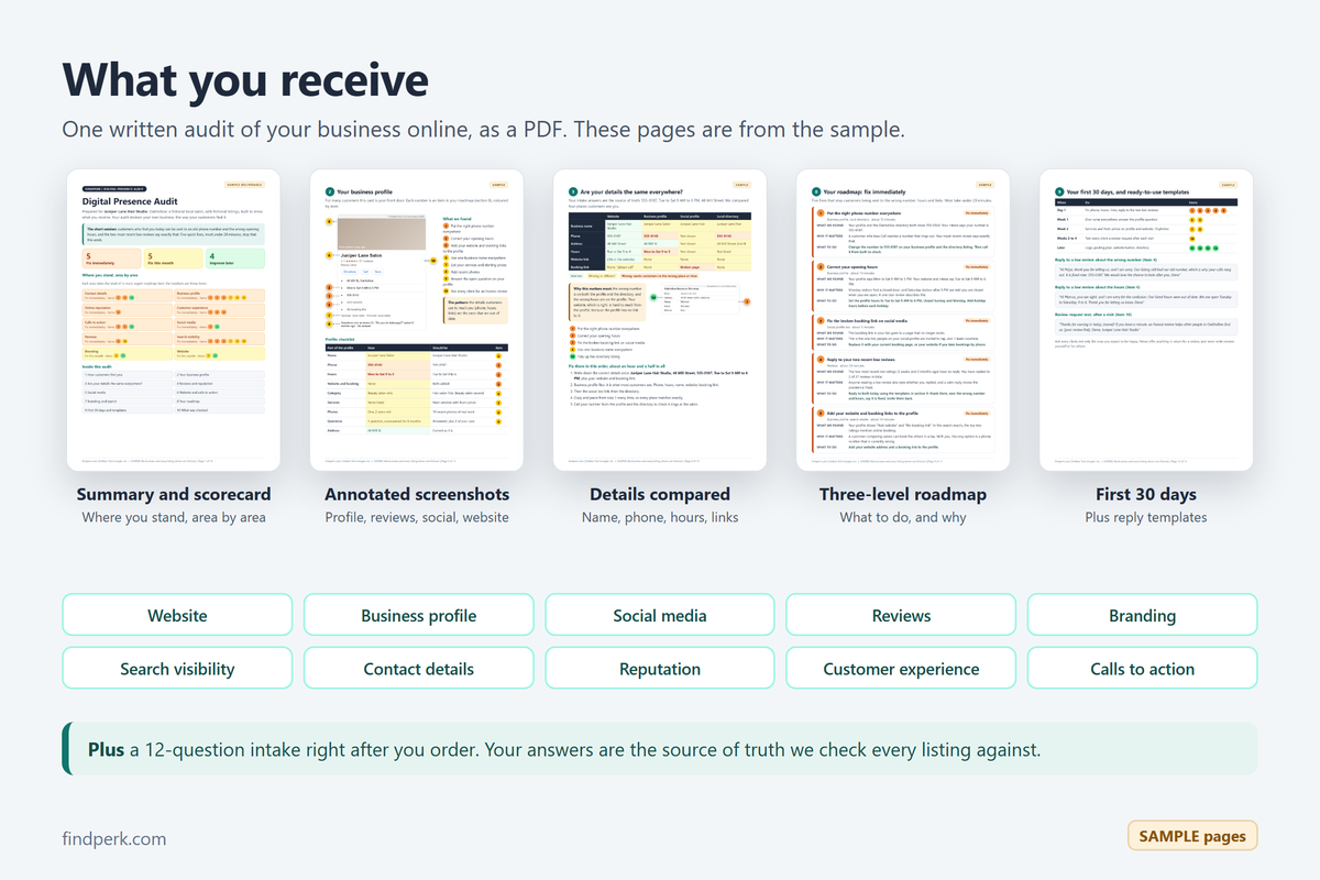 What you receive: pages from the sample audit