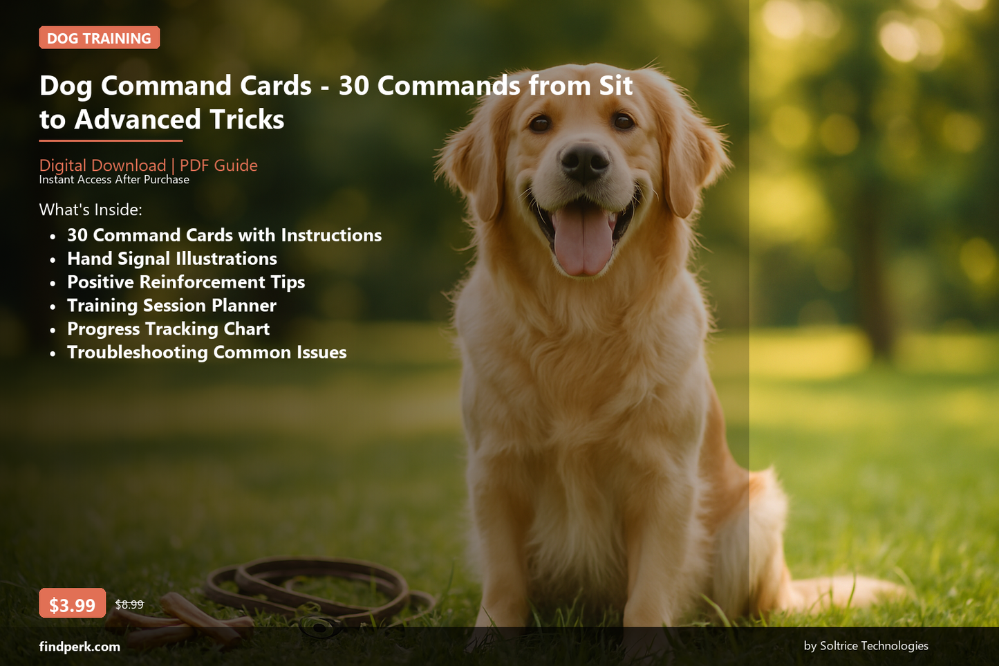 Dog Command Cards - 30 Commands from Sit to Advanced Tricks