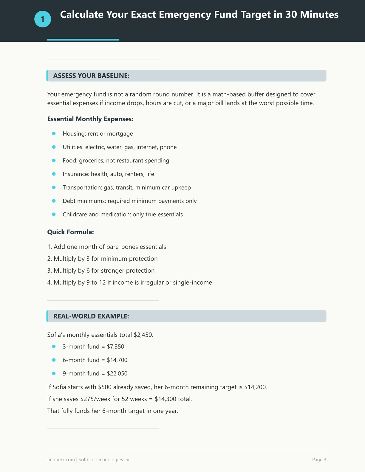 Emergency Fund Calculator — Financial Planner Printable