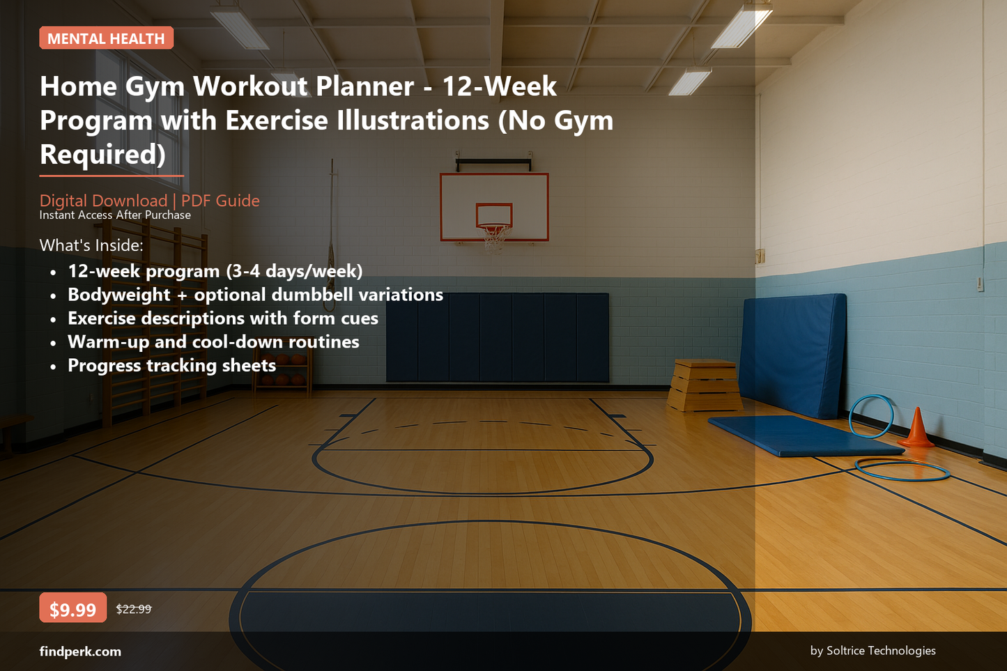 Home Gym Workout Planner - 12-Week Program with Exercise Illustrations (No Gym Required) - Cover