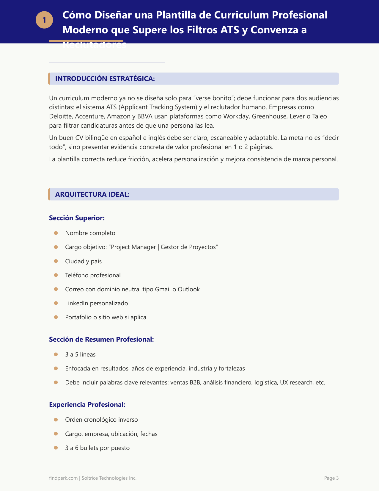 Plantilla de Curriculum - Profesional Moderno (Modern Professional Resume Template)