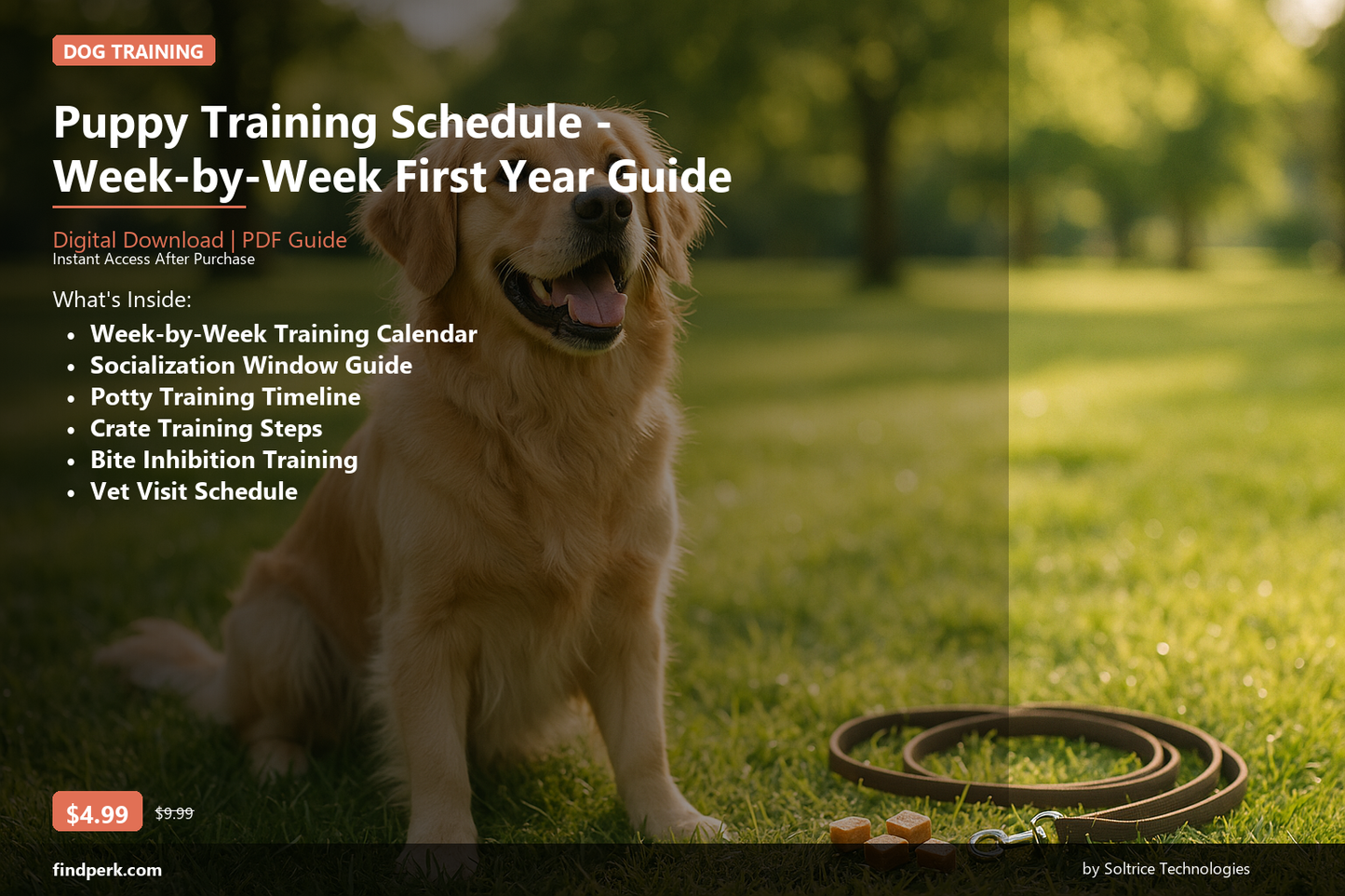 Puppy Training Schedule - Week-by-Week First Year Guide