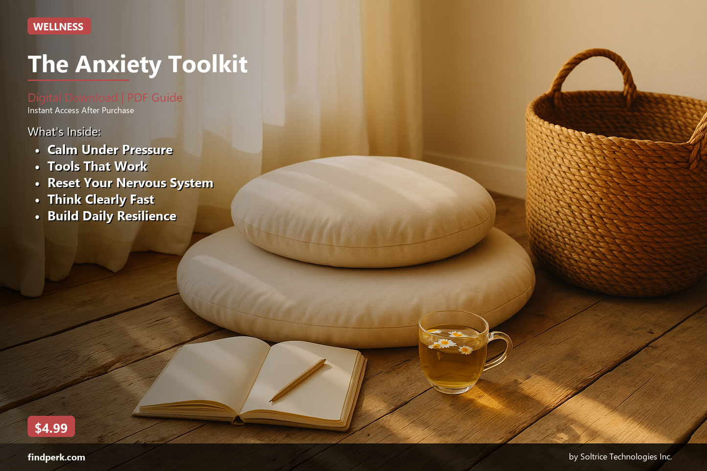 The Anxiety Toolkit